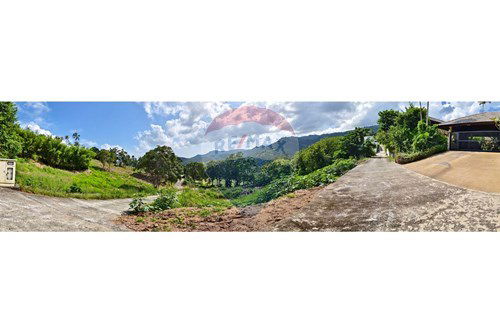 picture [920121060-116] Hill-view plot, whole or subdivided, Ideal for Investment, Maenam - 12/15