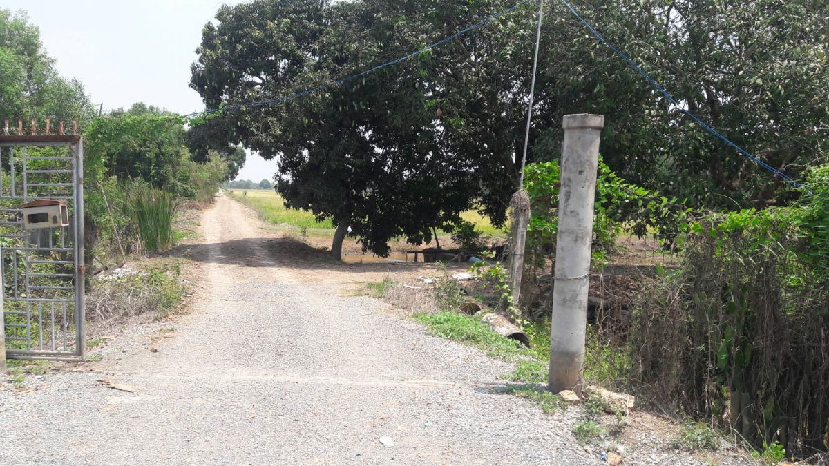 รูป ขายถูกที่ดิน คลอง 11 หนองเสือ ปทุมธานี  เนื้อที่ 49 ไร่, 2 งาน, 80.5 ตร.ว. - รูปที่ 6/7