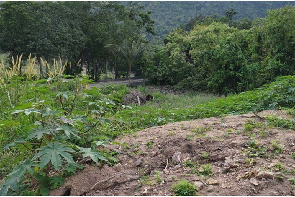 picture [920121060-116] Hill-view plot, whole or subdivided, Ideal for Investment, Maenam - 14/15