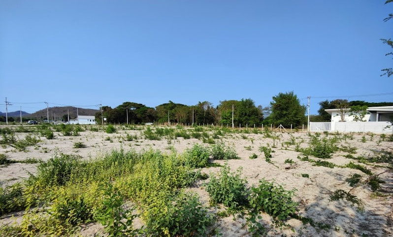 รูป ขายที่ดิน แปลงหัวมุม ขนาด 3-1-44.1 ไร่ ติดถนนคอนกรีต  เหมาะสำหรับทำโคงการบ้านขนาดเล็ก - รูปที่ 2/12