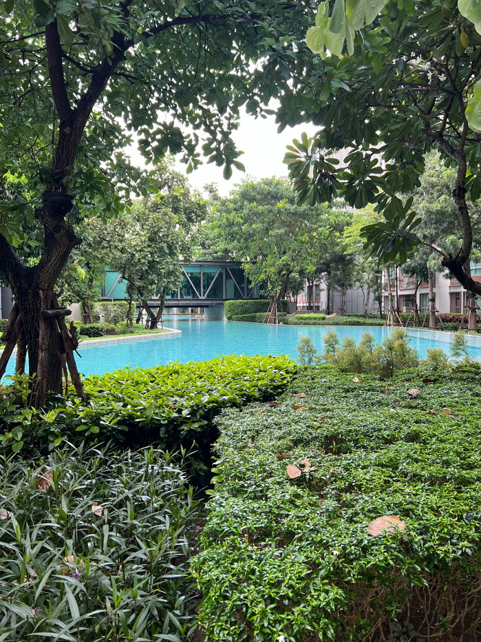 รูป ✅ให้เช่า ดีคอนโดพิงค์ ชั้น 5 วิวสระ 37ตรม.15,000บาท ☎️064-792-4426(เบญ) - รูปที่ 8/12