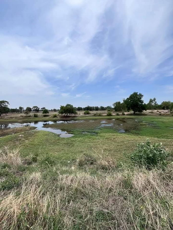 รูป #ขายที่ดินตำบลภารแอ่นอำเภอพยัคฆภูมิจังหวัดมหาสารคาม  ขนาดที่ดิน 36 ไร่ 1 งาน 50 ตารางวา โฉนด  ติดถนนเส้นหลัก2040​ถนนเป็น 4 เลน     - รูปที่ 4/5