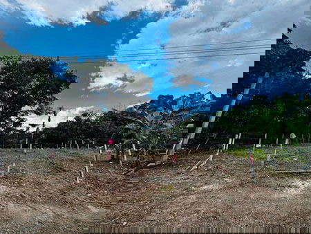 รูป ขายด่วนๆ ที่ดิน ทำเลดี หลังบริษัทสหพานิช โชตนา ต.ช้างเผือก อ.เมืองเชียงใหม่ - รูปที่ 6/8