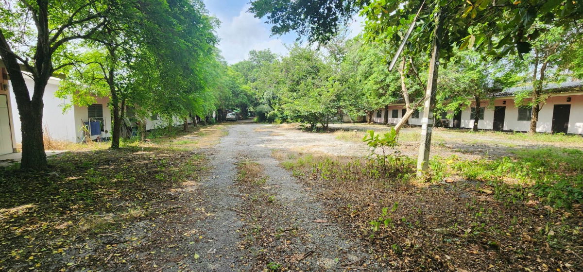 รูป  ขายที่ดินพร้อมห้องเช่า 48 ห้อง เนื้อที่ 4 ไร่ ใกล้นิคมปิ่นทอง 3 หนองขาม อำเภอศรีราชา ชลบุรี - รูปที่ 2/13