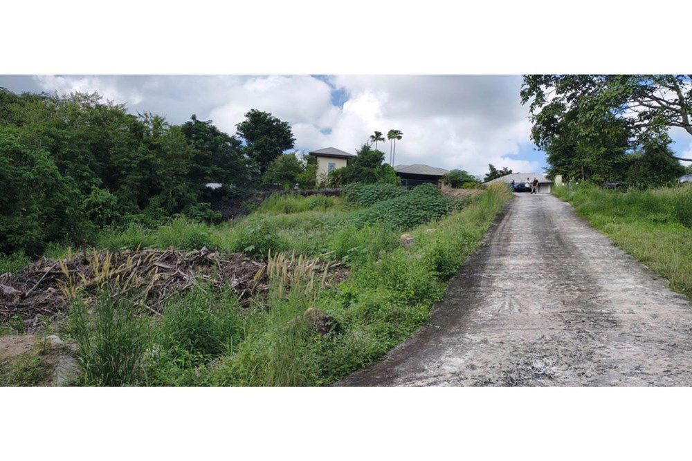 picture [920121060-116] Hill-view plot, whole or subdivided, Ideal for Investment, Maenam - 10/15