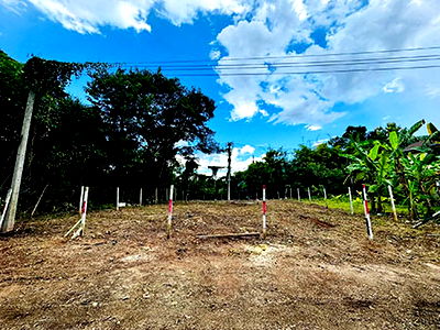 ที่ดิน ม.พายัพวิทยาเขตแก้วนวรัฐ : ขายด่วนๆ ที่ดิน ทำเลดี หลังบริษัทสหพานิช โชตนา ต.ช้างเผือก อ.เมืองเชียงใหม่