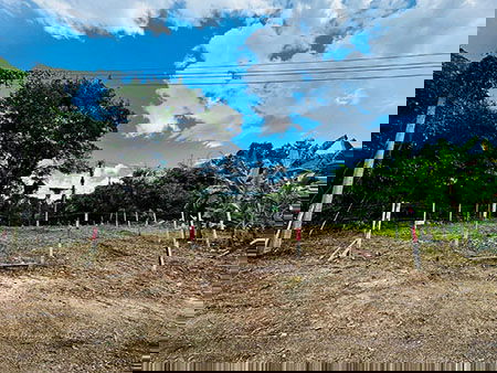 Land for sale !!, Near Sahaphanich Company , near KuangSing Intersection.