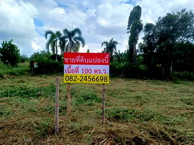 ขายที่ดิน : ขายที่ดินแปลงเล็กสดหรือผ่อน 100 ตร.ว. แถวนาตาขวัญ ระยอง (ผ่อนได้)