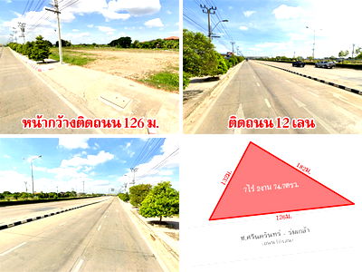 ที่ดิน ทับช้าง : ที่ดินติดถนน กรุงเทพกรีฑาตัดใหม่ 7 ไร่กว่า ใกล้ทางด่วน รถไฟฟ้า มอเตอร์เวย์ สนามบิน เดินทางสะดวก
