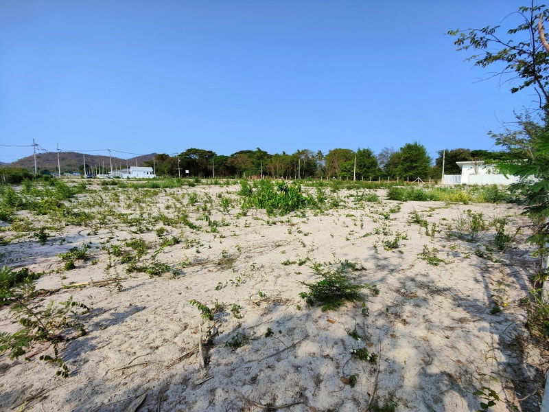 รูป ขายที่ดิน แปลงหัวมุม ขนาด 3-1-44.1 ไร่ ติดถนนคอนกรีต  เหมาะสำหรับทำโคงการบ้านขนาดเล็ก - รูปที่ 3/12