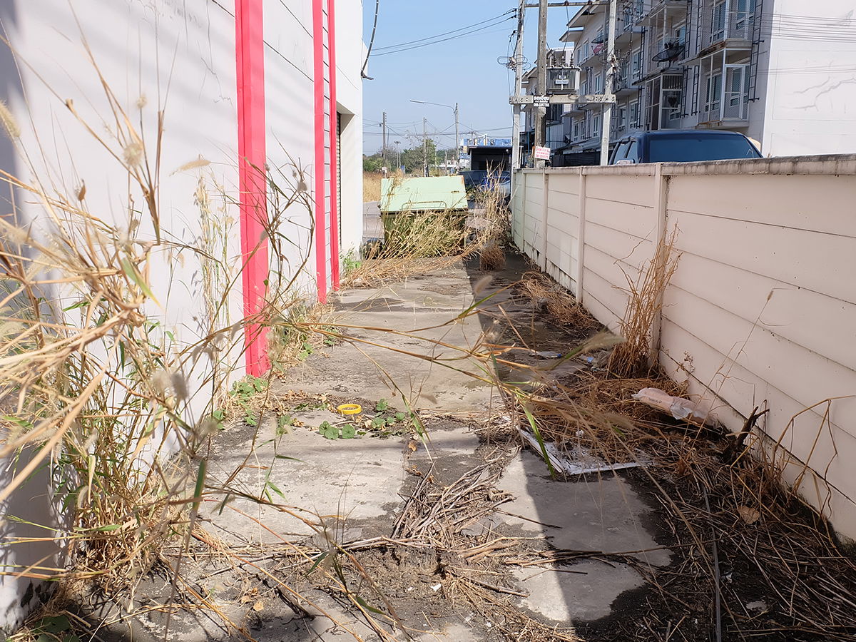 รูป ขาย อาคารพาณิชย์ 3 ชั้นครึ่ง 2 คูหา ติดถนนมอเตอร์เวย์ ใกล้แยกหนองยายบู่ ศรีราชา 2 งาน, 18.3 ตร.ว. - รูปที่ 14/14