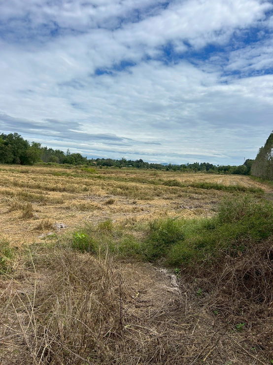 รูป ขายที่ดินเปล่า 21-0-31 ไร่ ติดถนนสุวรรณเกสร ต.โพธิ์งาม อ.ประจันตคาม จ.ปราจีนบุรี ราคา 22,000,000 บาท - รูปที่ 9/9