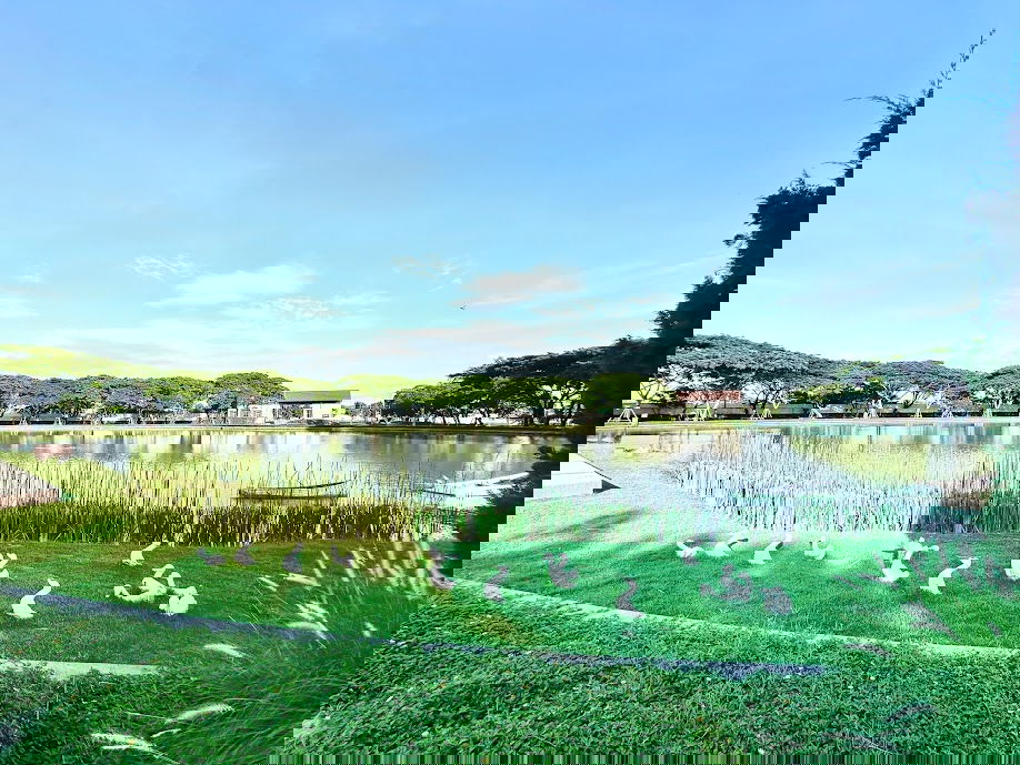 รูป ขายทาวน์โฮม 2 ชั้น หมู่บ้าน วิลลาจจิโอ บางนา 2 ห้องนอน 3 ห้องน้ำ 1 ที่จอดรถ เพียง 1.69 ล้านบาท!! - รูปที่ 26/29