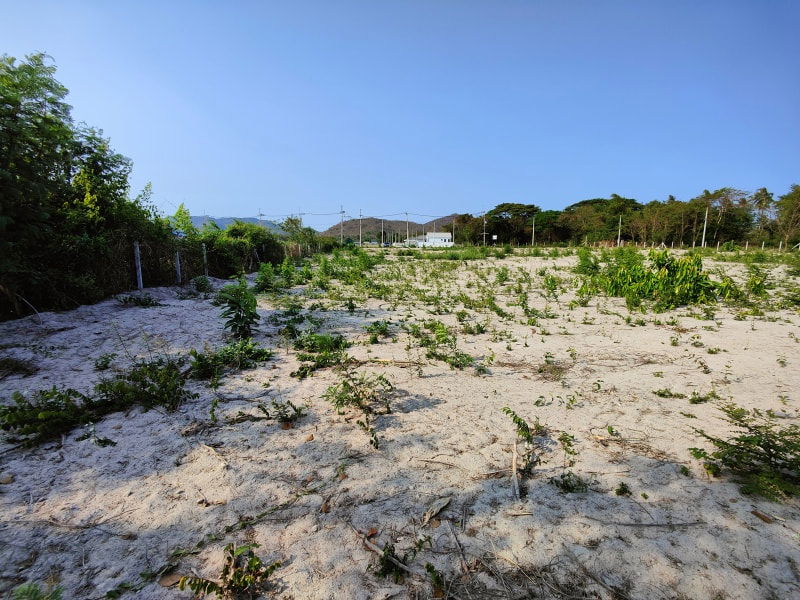 รูป ขายที่ดิน แปลงหัวมุม ขนาด 3-1-44.1 ไร่ ติดถนนคอนกรีต  เหมาะสำหรับทำโคงการบ้านขนาดเล็ก - รูปที่ 5/12