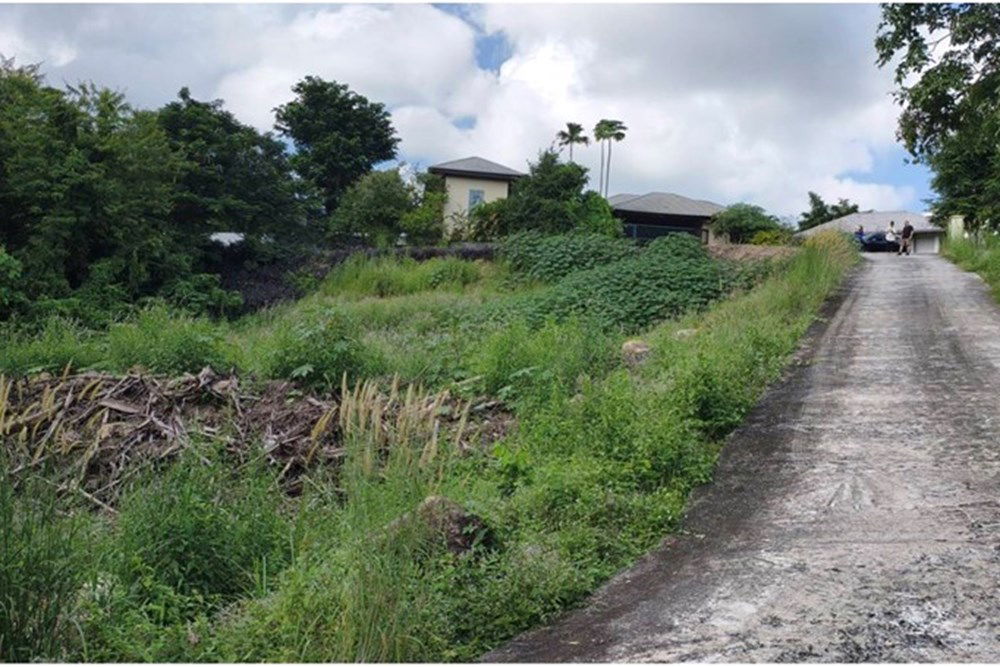 picture [920121060-116] Hill-view plot, whole or subdivided, Ideal for Investment, Maenam - 6/15