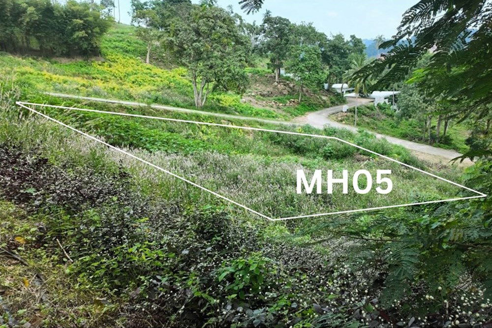 picture [920121060-116] Hill-view plot, whole or subdivided, Ideal for Investment, Maenam - 7/15