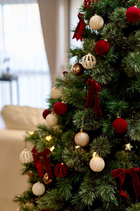 รูป ขายห้อง โครงการศรีธนา 2 3ห้องนอน ห้องสวยพื้นที่เยอะ ทำเลใจกลางเมือง - SW003275 - รูปที่ 10/44