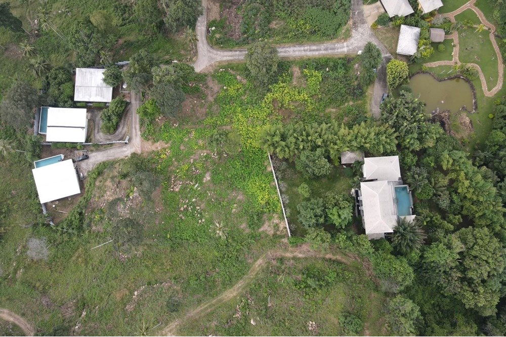 picture [920121060-113] Hill-view plot, whole or subdivided, Ideal for Investment, Maenam - 10/11