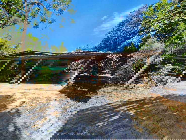 picture Fruit orchard for sale in Khlung  - 9/10