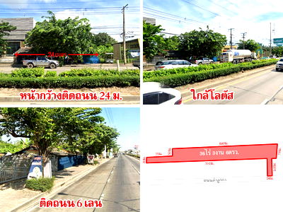 ขายที่ดิน : ที่ดินติดถนน ลำลูกกา คลอง 6 เนื้อที่ 36 ไร่กว่า ใกล้โลตัส โฮมโปร รถไฟฟ้าสายสีเขียวเหนือ เดินทางสะดวก