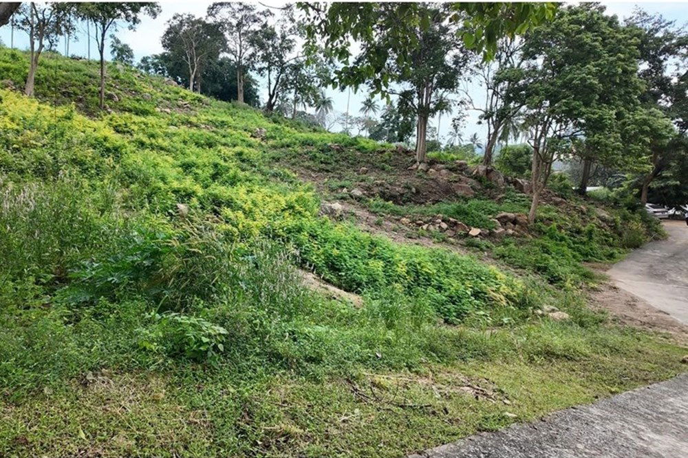 picture [920121060-113] Hill-view plot, whole or subdivided, Ideal for Investment, Maenam - 9/11