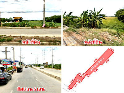 ขายที่ดิน : ที่ดินติดถนน บางกรวย-ไทรน้อย 46 ไร่กว่า ใกล้ตลาดพงศ์ไพบูลย์ แหล่งชุมชน เดินทางสะดวก