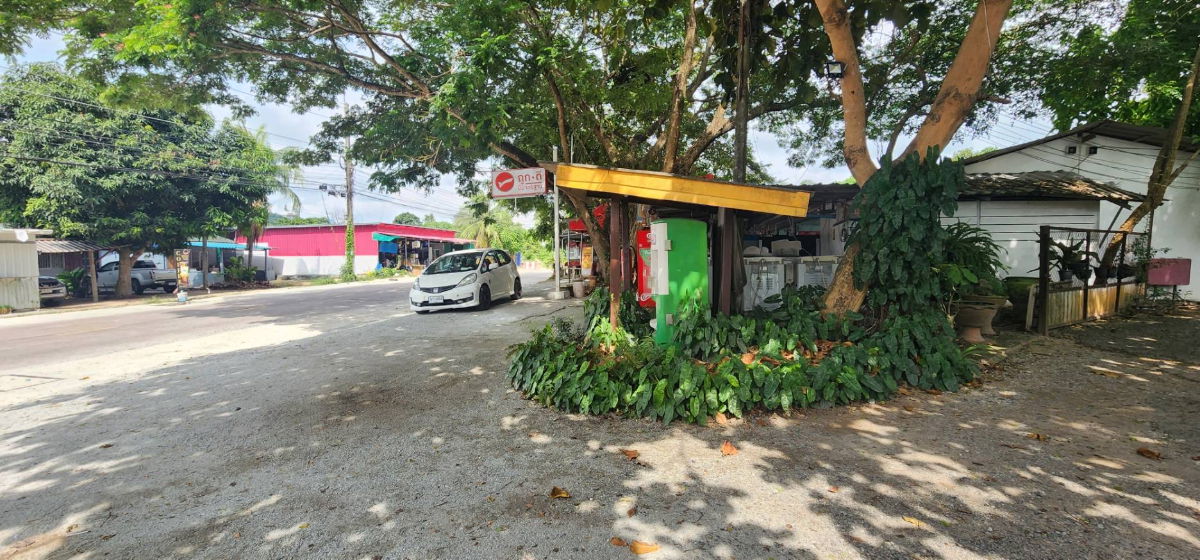 รูป  ขายที่ดินพร้อมห้องเช่า 48 ห้อง เนื้อที่ 4 ไร่ ใกล้นิคมปิ่นทอง 3 หนองขาม อำเภอศรีราชา ชลบุรี - รูปที่ 6/13