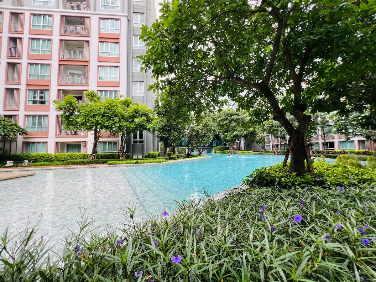 รูป ✅ให้เช่า ดีคอนโดพิงค์ ชั้น 5 วิวสระ 37ตรม.15,000บาท ☎️064-792-4426(เบญ) - รูปที่ 6/12