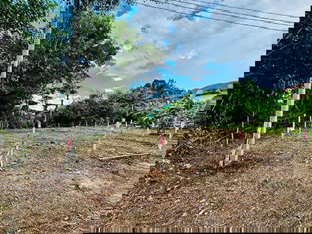 รูป ขายด่วนๆ ที่ดิน ทำเลดี หลังบริษัทสหพานิช โชตนา ต.ช้างเผือก อ.เมืองเชียงใหม่ - รูปที่ 2/8