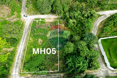Land for sale Ko Samui Surat Thani : [920121060-116] Hill-view plot, whole or subdivided, Ideal for Investment, Maenam