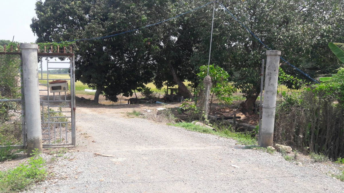 รูป ขายถูกที่ดิน คลอง 11 หนองเสือ ปทุมธานี  เนื้อที่ 49 ไร่, 2 งาน, 80.5 ตร.ว. - รูปที่ 5/7