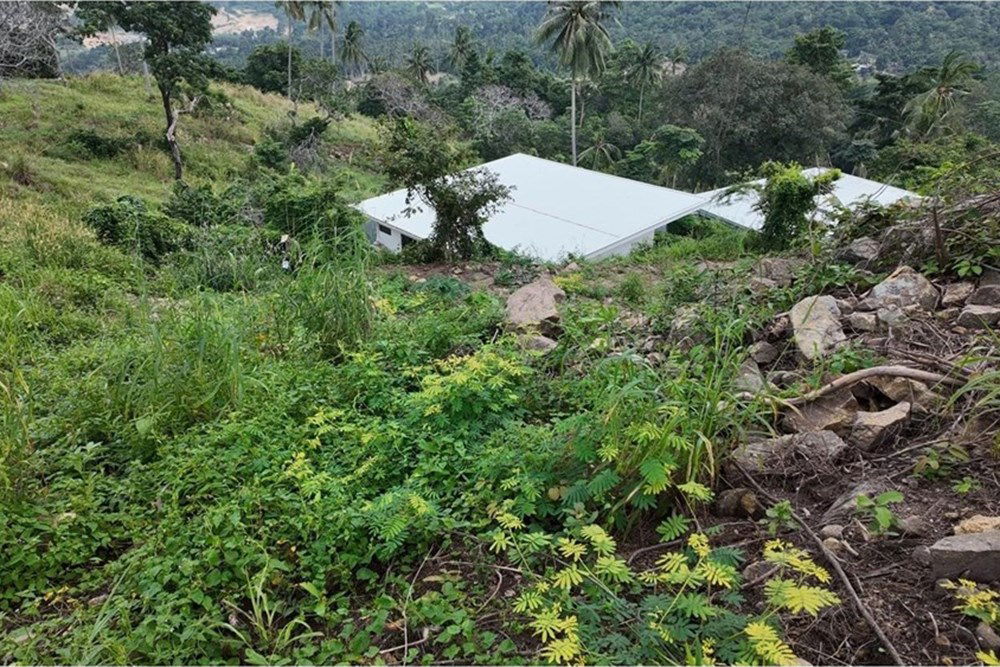 picture [920121060-114] Hill-view plot, whole or subdivided, Ideal for Investment, Maenam - 5/13