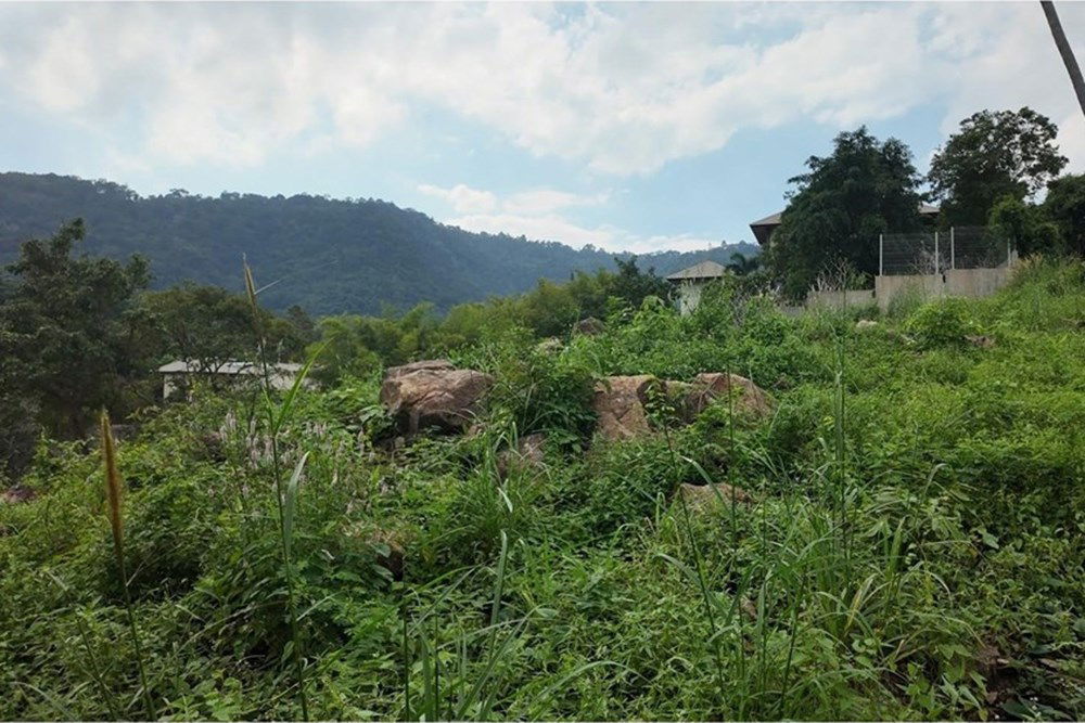 picture [920121060-114] Hill-view plot, whole or subdivided, Ideal for Investment, Maenam - 6/13