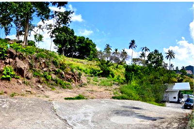 Land for sale Ko Samui Surat Thani : [920121060-114] Hill-view plot, whole or subdivided, Ideal for Investment, Maenam