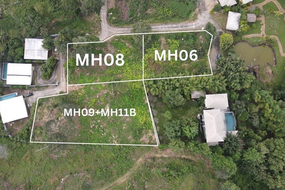 picture [920121060-114] Hill-view plot, whole or subdivided, Ideal for Investment, Maenam - 2/13