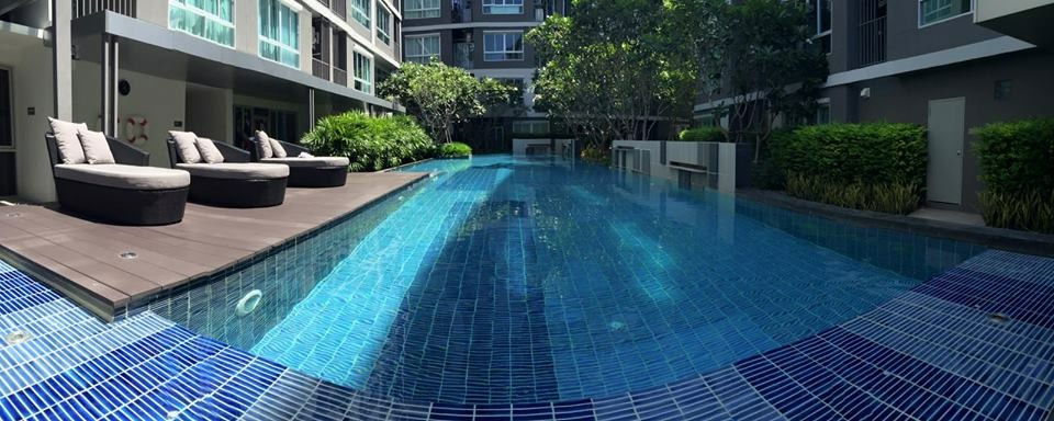 picture [Owner Post] Dcondo Nernpra Rayong for rent 6,000 THB/month, 30 sqm, 8th floor - 7/12