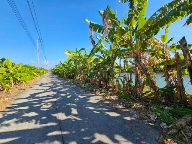 picture Land for sale, 1 rai, Soi Wat Buaroy, Samut Prakan. - 5/9