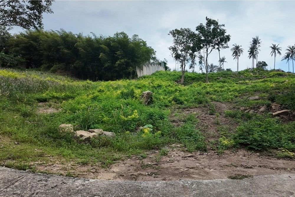 picture [920121060-113] Hill-view plot, whole or subdivided, Ideal for Investment, Maenam - 11/11