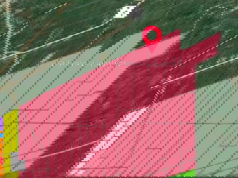 รูป ขายถูกที่ดิน คลอง 11 หนองเสือ ปทุมธานี  เนื้อที่ 49 ไร่, 2 งาน, 80.5 ตร.ว. - รูปที่ 3/7