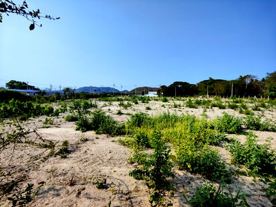 ที่ดิน หินเหล็กไฟ ประจวบคีรีขันธ์ : ขายที่ดิน แปลงหัวมุม ขนาด 3-1-44.1 ไร่ ติดถนนคอนกรีต  เหมาะสำหรับทำโคงการบ้านขนาดเล็ก