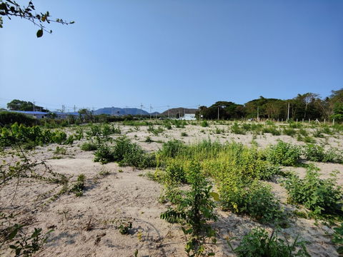 3-1-44.1 Rai | Corner Plot - Cement road frontage - Ideal For Small Home Development