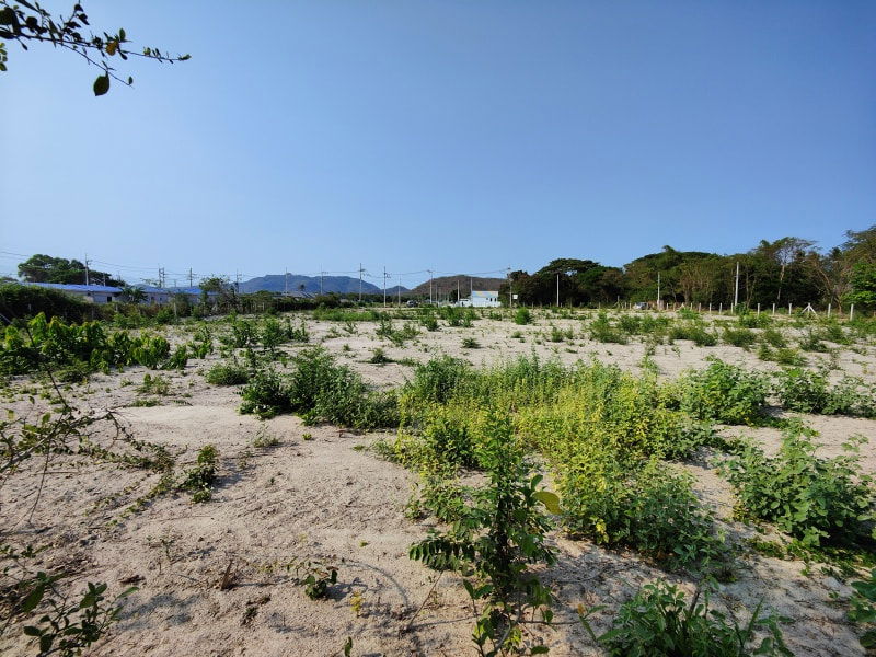 รูป ขายที่ดิน แปลงหัวมุม ขนาด 3-1-44.1 ไร่ ติดถนนคอนกรีต  เหมาะสำหรับทำโคงการบ้านขนาดเล็ก - รูปที่ 1/12