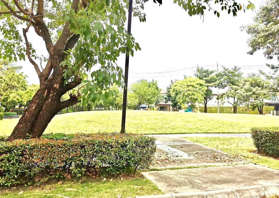 รูป HR3122ให้เช่าบ้านเดี่ยวหลังใหญ่ "ฮาบิเทีย วัชรพล" พื้นที่กว้าง 67 ตร.ว. เฟอร์นิเจอร์ครบ พร้อมเข้าอยู่ทันที!ทำเลดีเดินทางสะดวก - รูปที่ 4/9