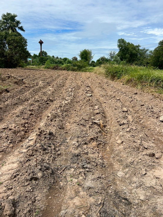 รูป ขายที่ดินเปล่า 21-0-31 ไร่ ติดถนนสุวรรณเกสร ต.โพธิ์งาม อ.ประจันตคาม จ.ปราจีนบุรี ราคา 22,000,000 บาท - รูปที่ 8/9