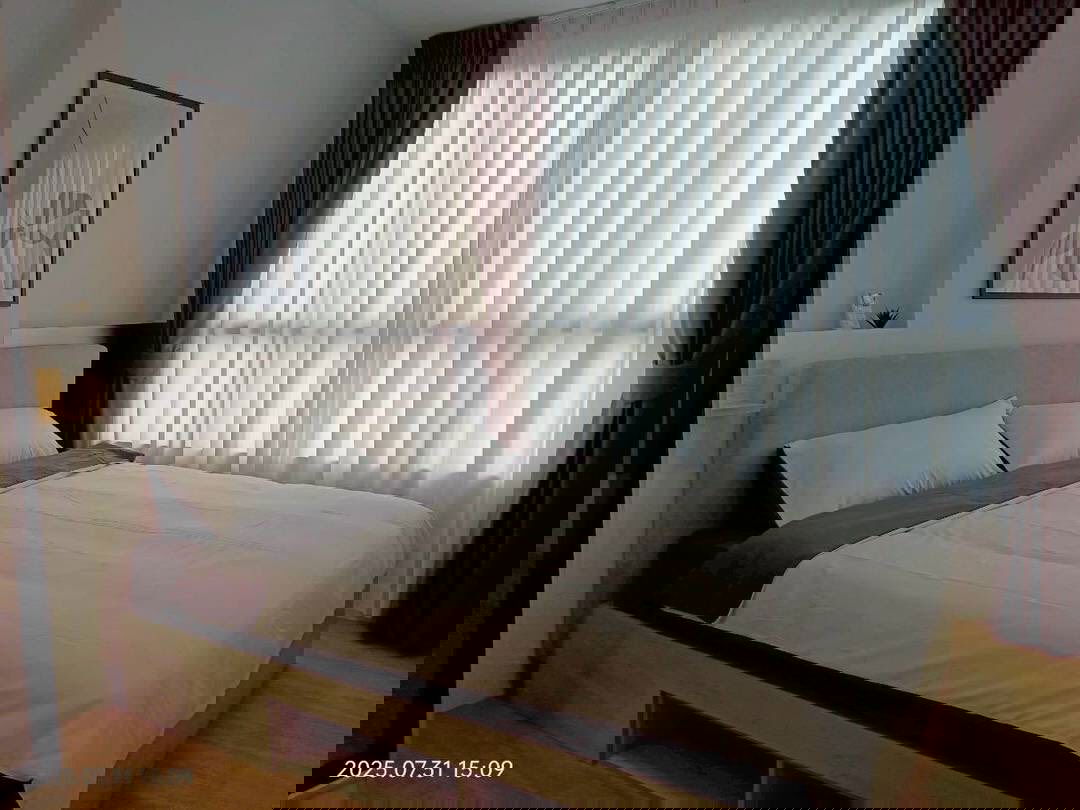 รูป 🔴R20802🟡 ให้เช่าถูกมาก👍 Atmoz Kanaal Rangsit 💛🧡 ✅แอดไลน์ @mproperty (มี @ ด้วย) แอดมินตอบไว - รูปที่ 1/15