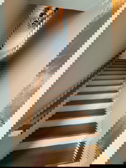 รูป HR3118 Luxury House for Rent - Burasiri Pattanakarn (Pet-Friendly) บ้านหรูหลังใหญ่ ติดสวนและ Clubhouse    - รูปที่ 32/43