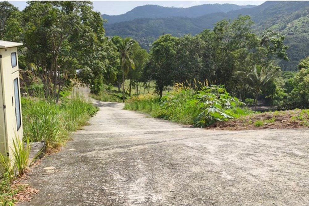 picture [920121060-116] Hill-view plot, whole or subdivided, Ideal for Investment, Maenam - 15/15