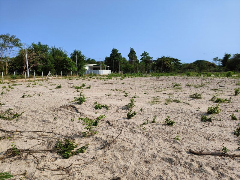 รูป ขายที่ดิน แปลงหัวมุม ขนาด 3-1-44.1 ไร่ ติดถนนคอนกรีต  เหมาะสำหรับทำโคงการบ้านขนาดเล็ก - รูปที่ 6/12