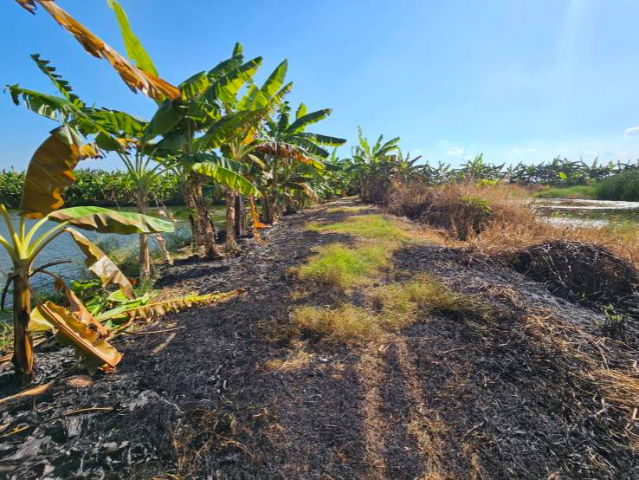 picture Land for sale, 1 rai, Soi Wat Buaroy, Samut Prakan. - 7/9