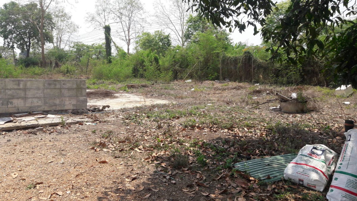 รูป ขายถูกที่ดิน คลอง 11 หนองเสือ ปทุมธานี  เนื้อที่ 49 ไร่, 2 งาน, 80.5 ตร.ว. - รูปที่ 4/7